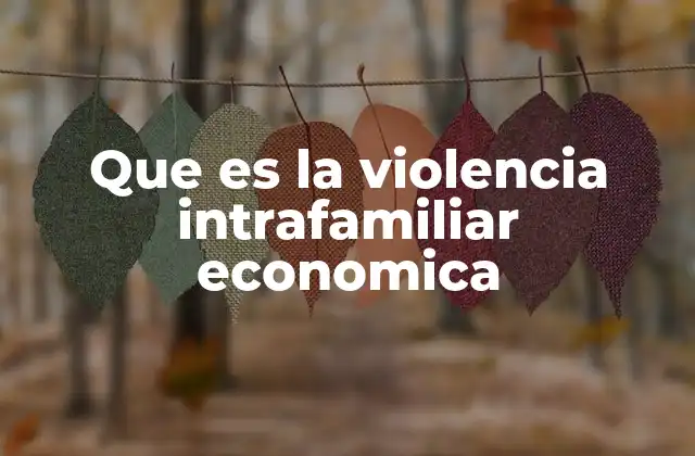 Que es la Violencia Intrafamiliar Economica
