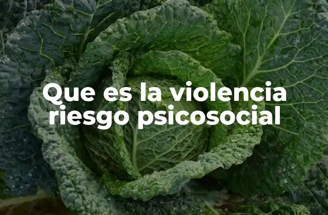 Que es la Violencia Riesgo Psicosocial
