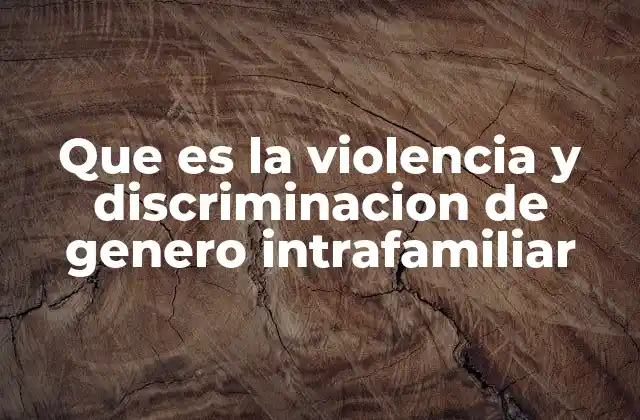 Que es la Violencia y Discriminacion de Genero Intrafamiliar