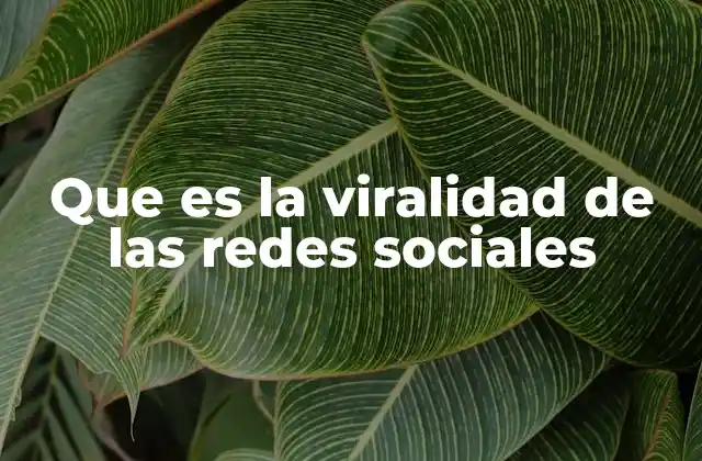 Que es la Viralidad de las Redes Sociales