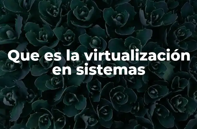 Que es la Virtualización en Sistemas