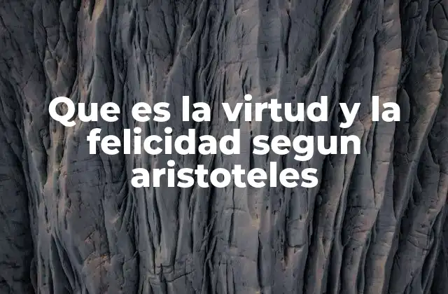 Que es la Virtud y la Felicidad Segun Aristoteles