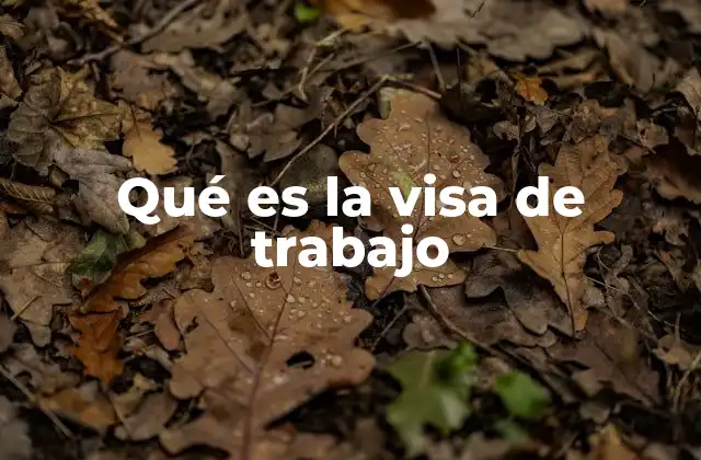 Qué es la Visa de Trabajo 2 Tipos de visas laborales por sector