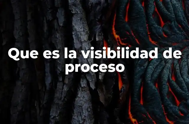 Que es la Visibilidad de Proceso 2 La importancia de comprender los flujos de trabajo