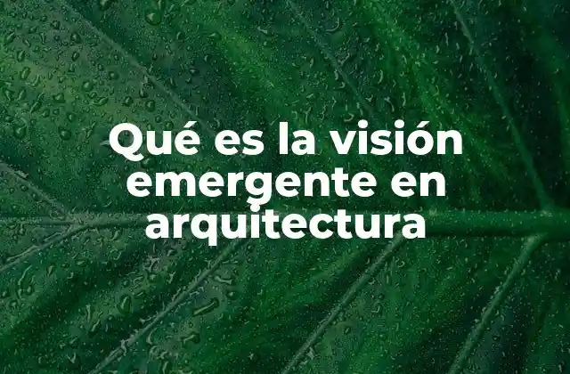 Qué es la Visión Emergente en Arquitectura
