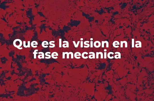 Que es la Vision en la Fase Mecanica