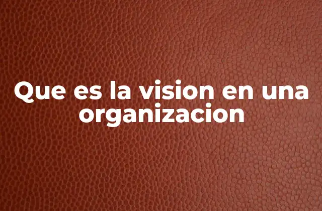 Que es la Vision en una Organizacion