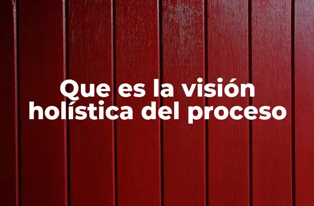 Que es la Visión Holística Del Proceso