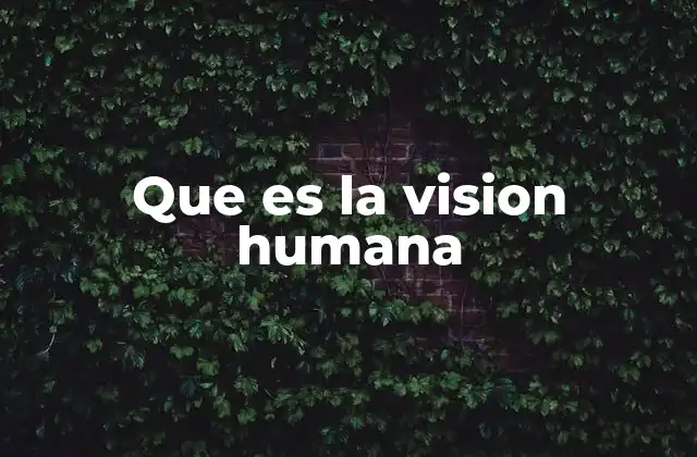 Que es la Vision Humana