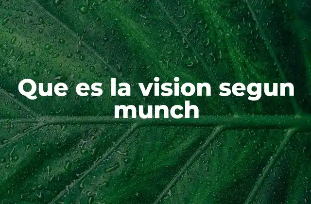 Que es la Vision Segun Munch
