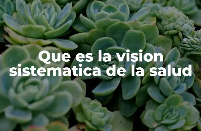 Que es la Vision Sistematica de la Salud