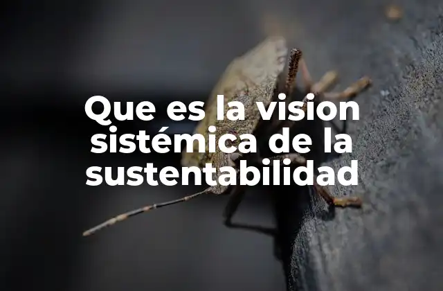 Que es la Vision Sistémica de la Sustentabilidad