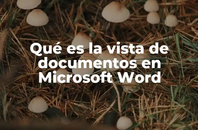 Qué es la Vista de Documentos en Microsoft Word
