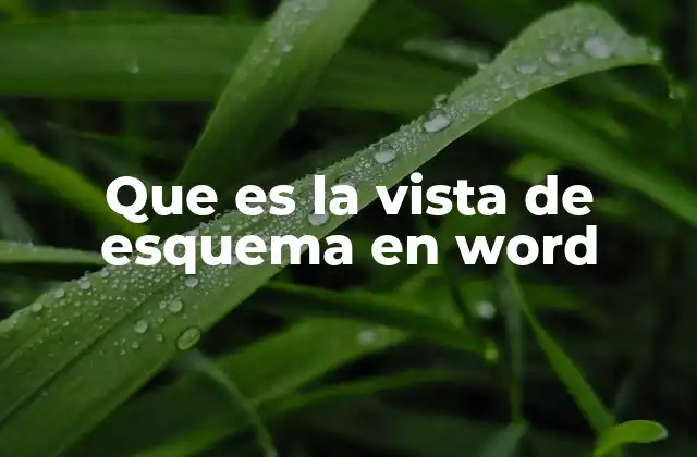 Que es la Vista de Esquema en Word