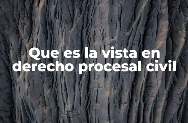 El rol de la vista en el desarrollo de un proceso civil