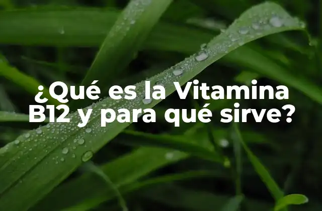 ¿qué es la Vitamina B12 y para Qué Sirve?
