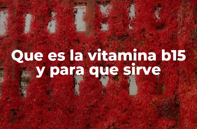 Que es la Vitamina B15 y para que Sirve
