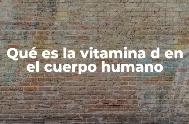 Qué es la Vitamina D en el Cuerpo Humano