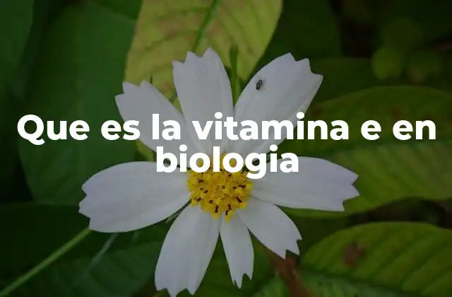 Que es la Vitamina e en Biologia