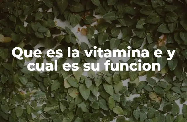 La importancia de los antioxidantes en el organismo