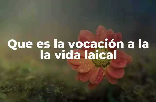 Que es la Vocación a la la Vida Laical