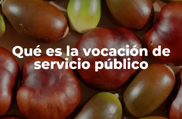 Qué es la Vocación de Servicio Público 2 El rol del servicio público en la sociedad