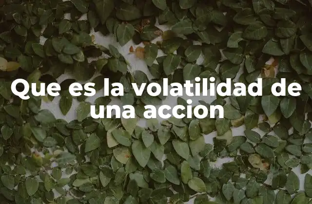 Que es la Volatilidad de una Accion