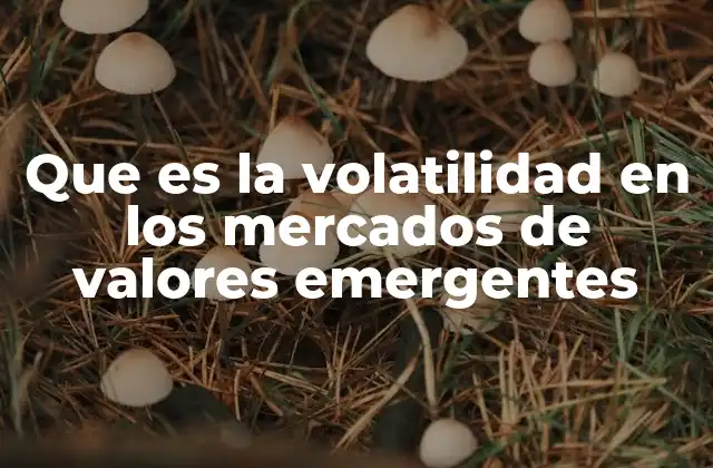Que es la Volatilidad en los Mercados de Valores Emergentes