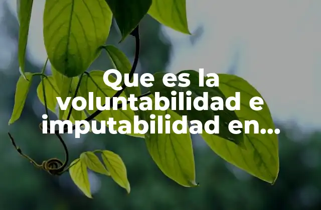 Que es la Voluntabilidad e Imputabilidad en Derecho Penal
