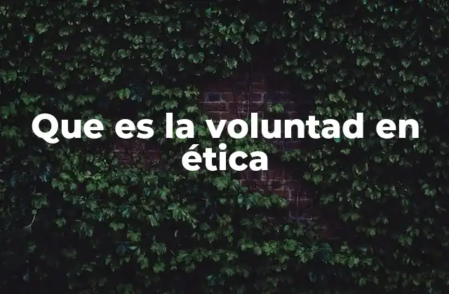 Que es la Voluntad en Ética