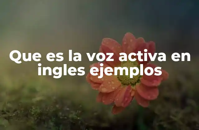 Que es la Voz Activa en Ingles Ejemplos