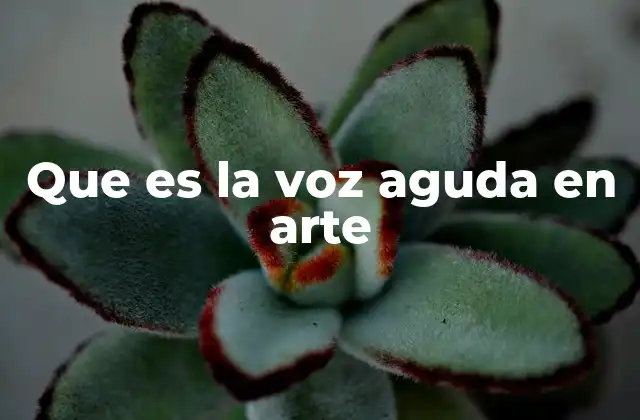 Que es la Voz Aguda en Arte