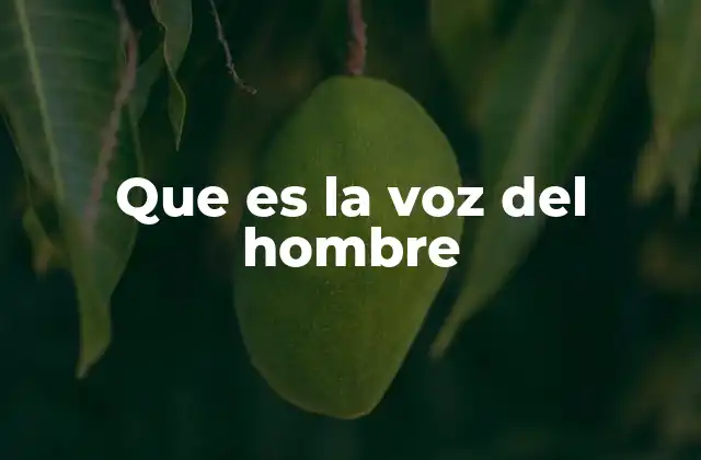 Que es la Voz Del Hombre