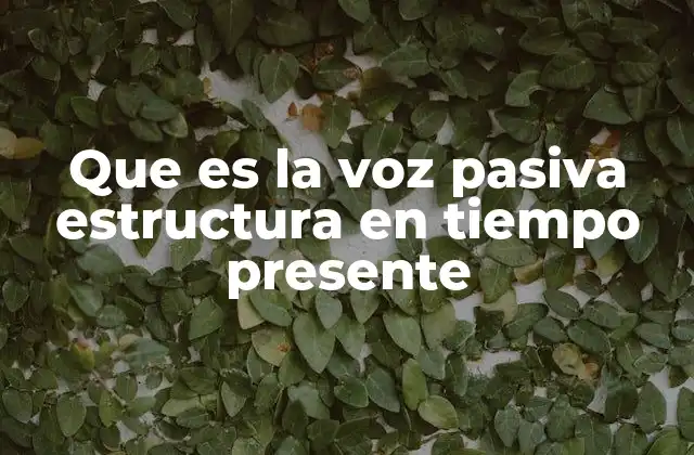 Que es la Voz Pasiva Estructura en Tiempo Presente