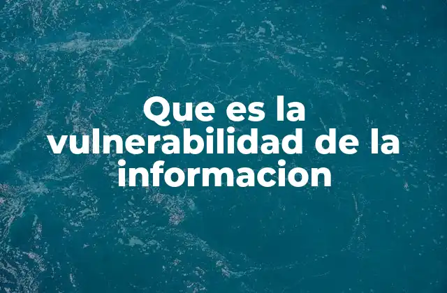 Que es la Vulnerabilidad de la Informacion