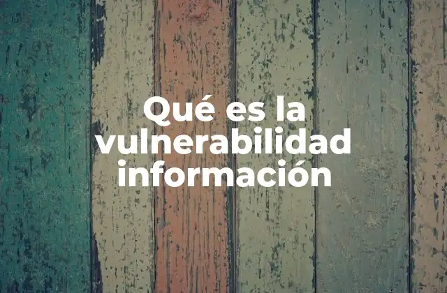 Qué es la Vulnerabilidad Información