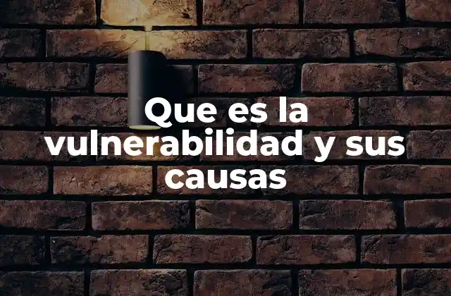 Que es la Vulnerabilidad y Sus Causas