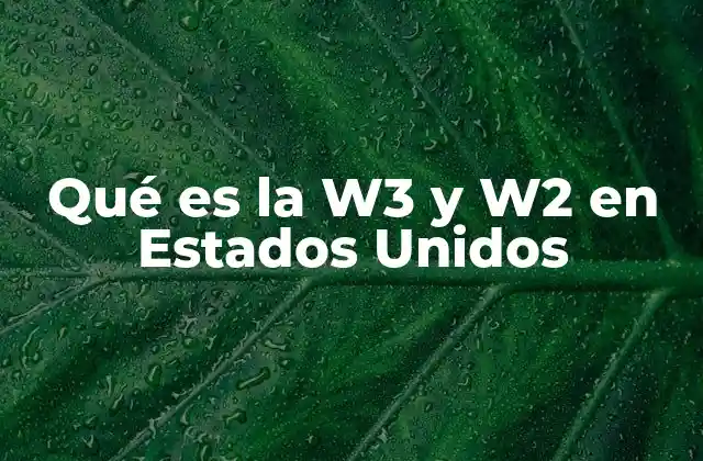 Qué es la W3 y W2 en Estados Unidos