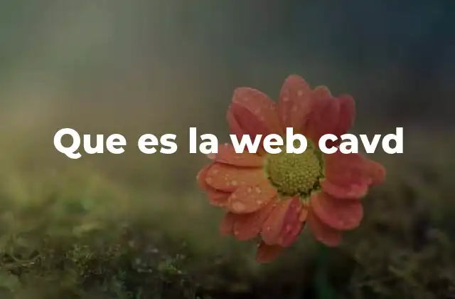 Que es la Web Cavd