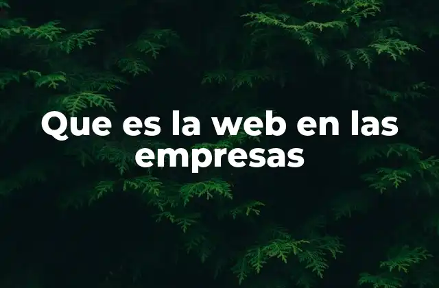Que es la Web en las Empresas