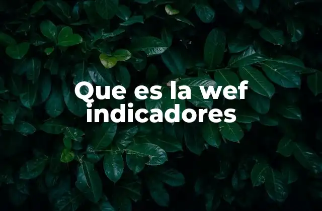 Que es la Wef Indicadores