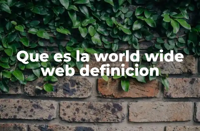 Que es la World Wide Web Definicion