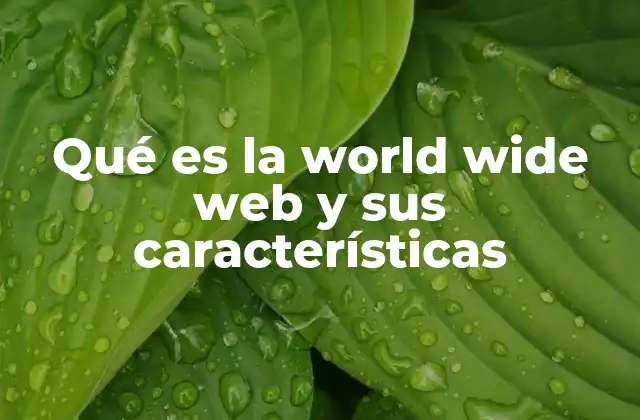 Qué es la World Wide Web y Sus Características