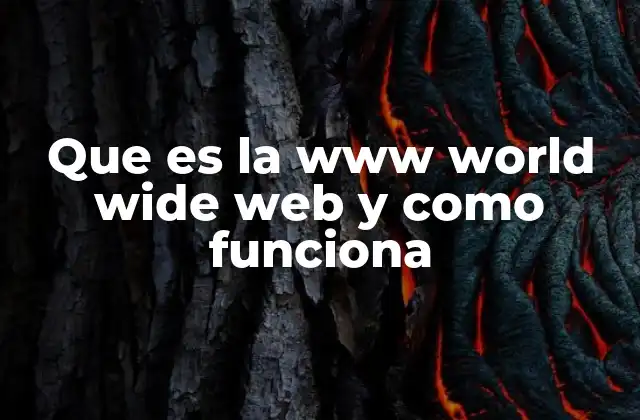 Que es la Www World Wide Web y como Funciona