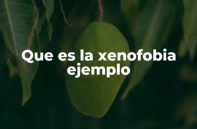 Que es la Xenofobia Ejemplo