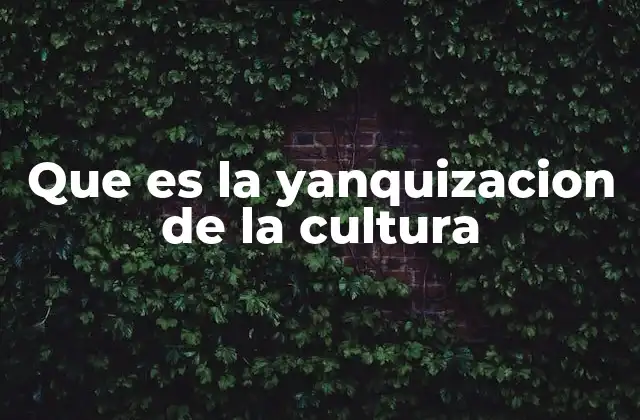 Que es la Yanquizacion de la Cultura