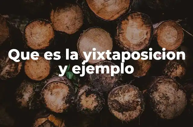 Que es la Yixtaposicion y Ejemplo