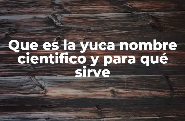 La importancia de la yuca en la agricultura y la nutrición