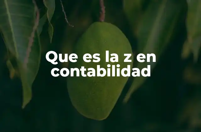 Que es la Z en Contabilidad