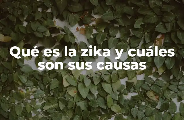 Qué es la Zika y Cuáles Son Sus Causas